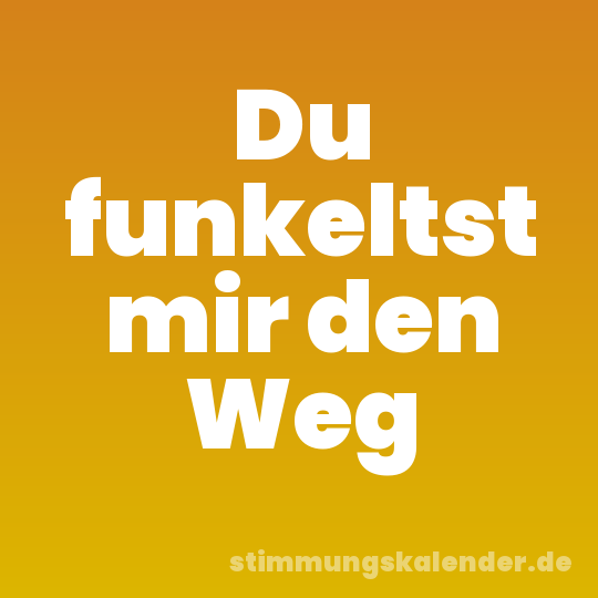 Du funkeltst mir den Weg
