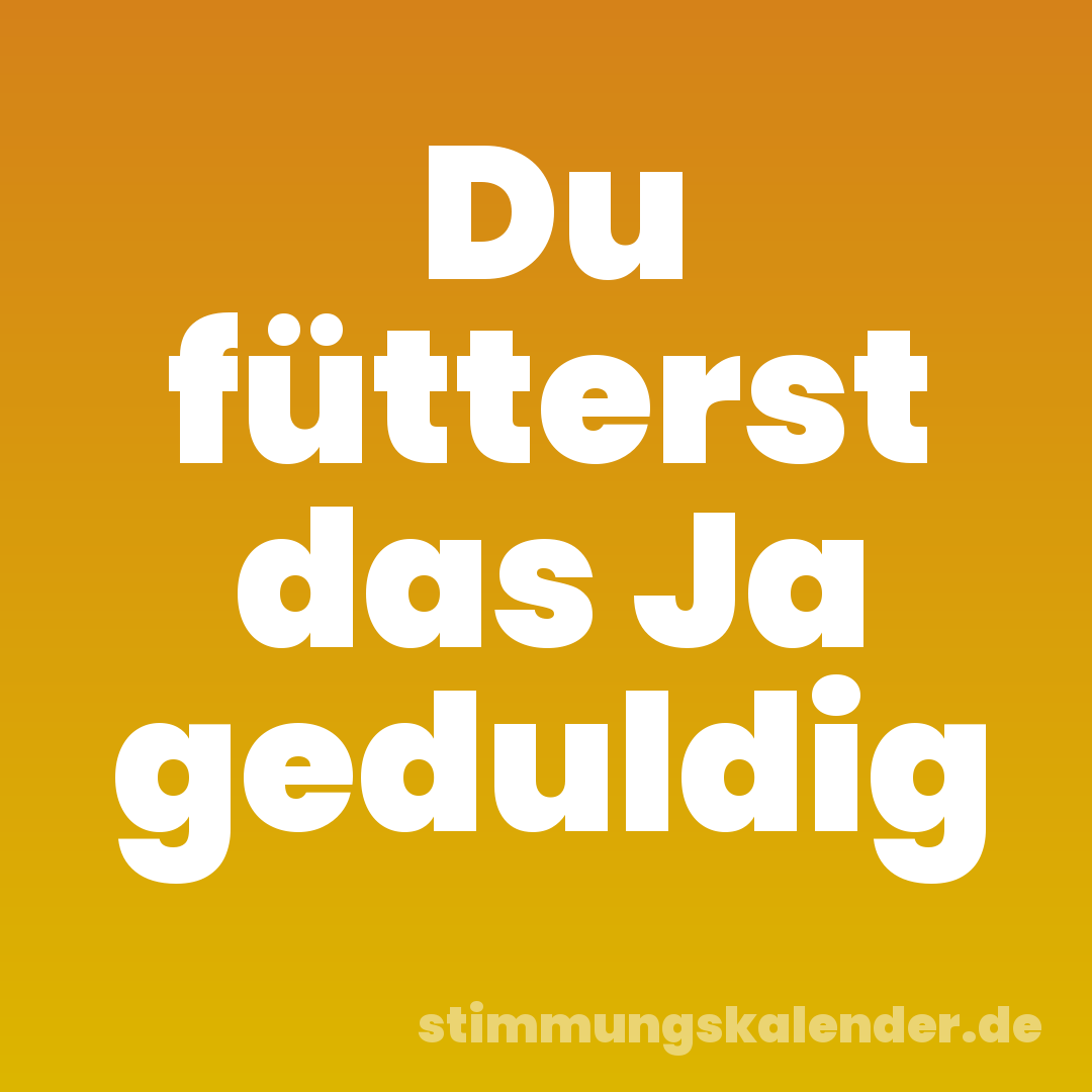 Du fütterst das Ja geduldig
