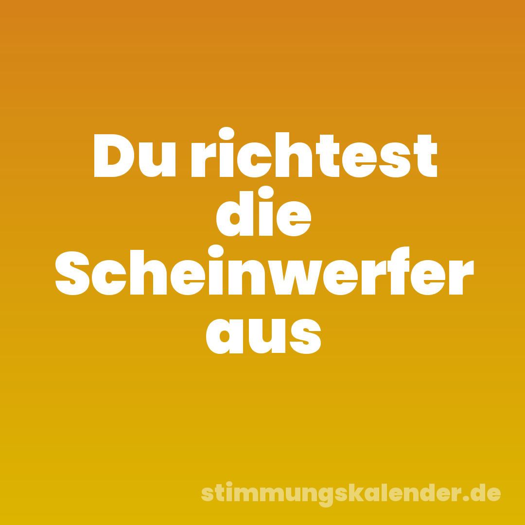 Du richtest die Scheinwerfer aus