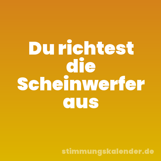 Du richtest die Scheinwerfer aus