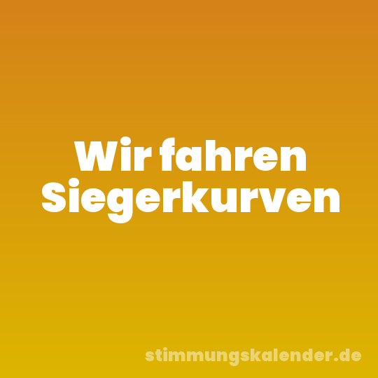 Wir fahren Siegerkurven