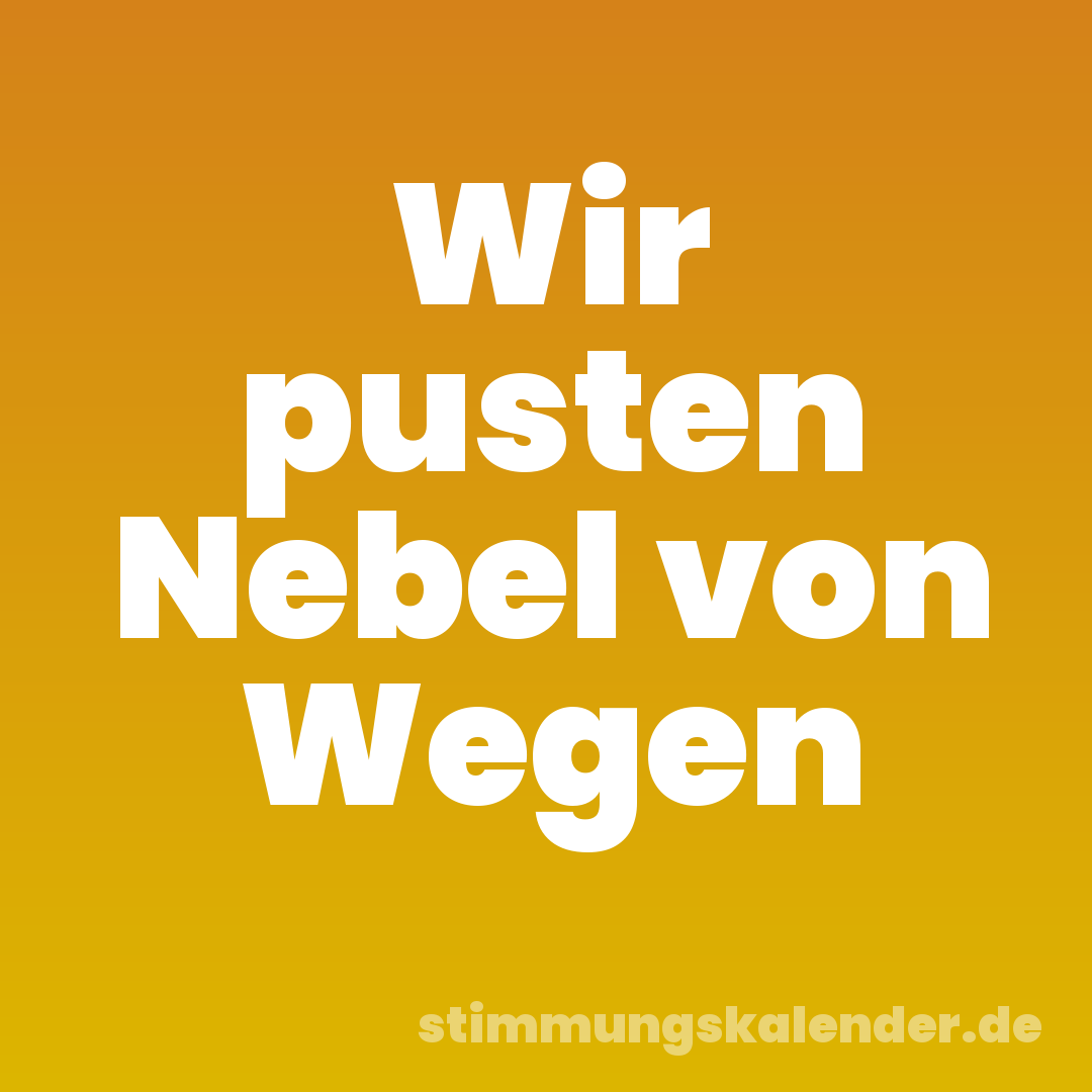 Wir pusten Nebel von Wegen