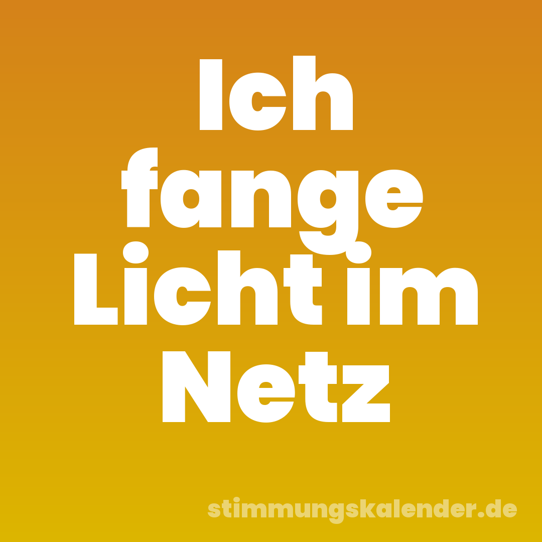 Ich fange Licht im Netz