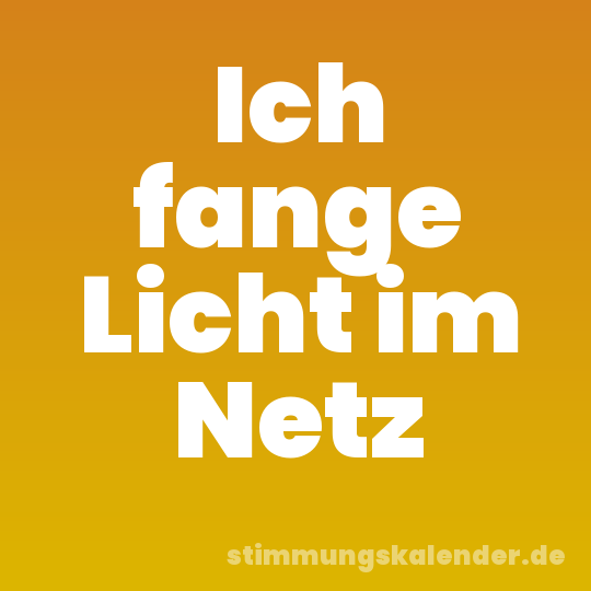 Ich fange Licht im Netz