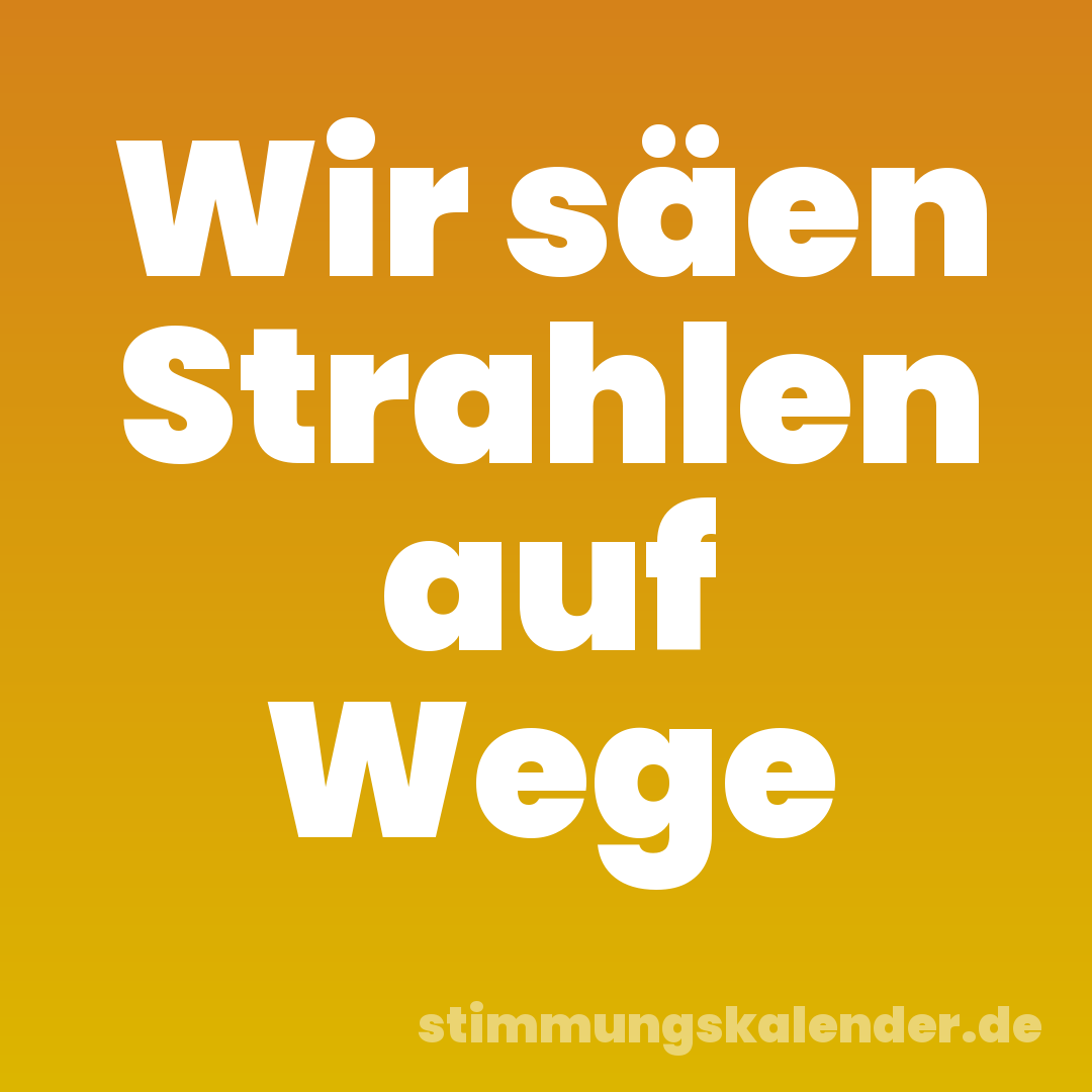 Wir säen Strahlen auf Wege