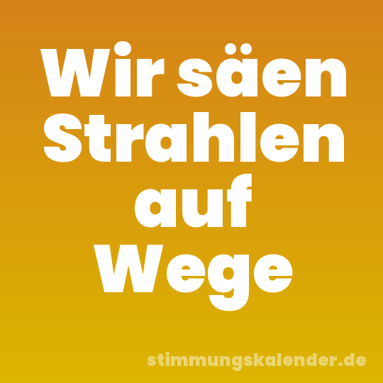 Wir säen Strahlen auf Wege