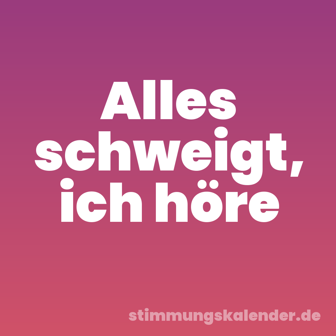 Alles schweigt, ich höre