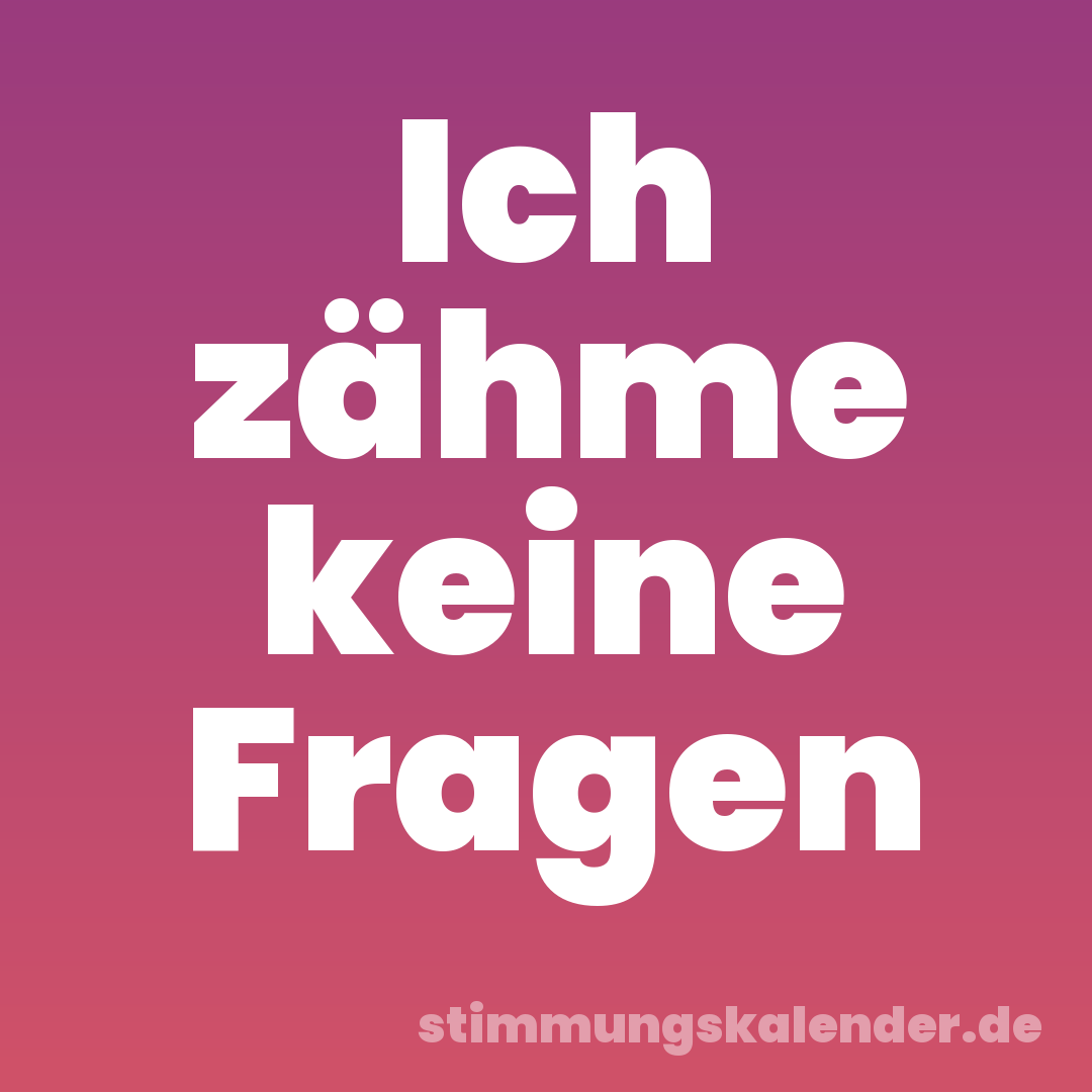 Ich zähme keine Fragen