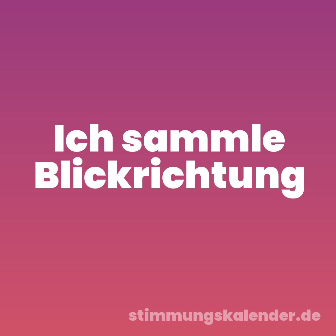 Ich sammle Blickrichtung