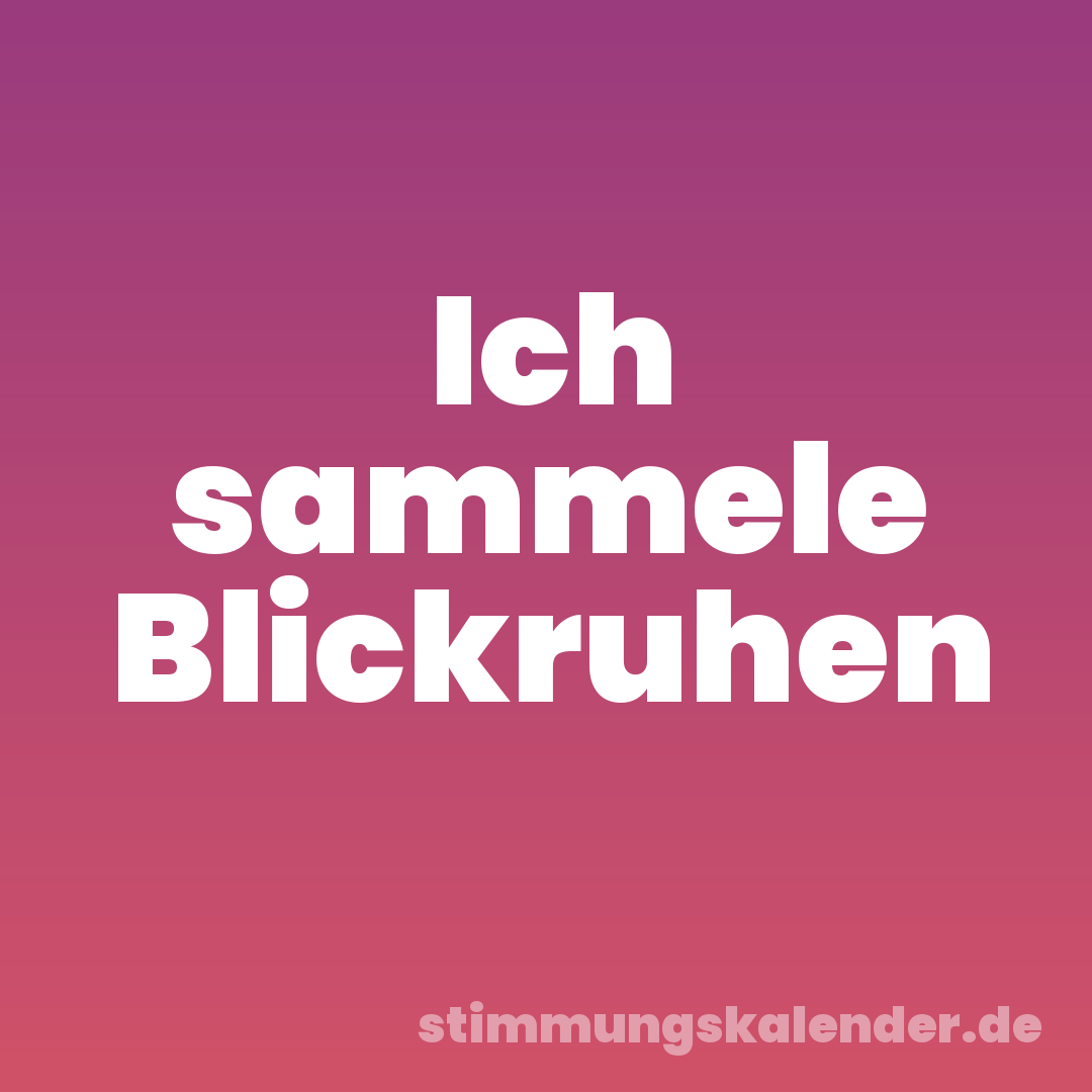 Ich sammele Blickruhen