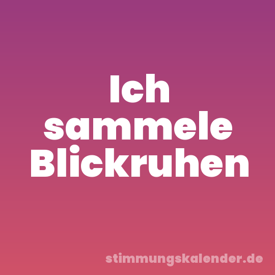 Ich sammele Blickruhen