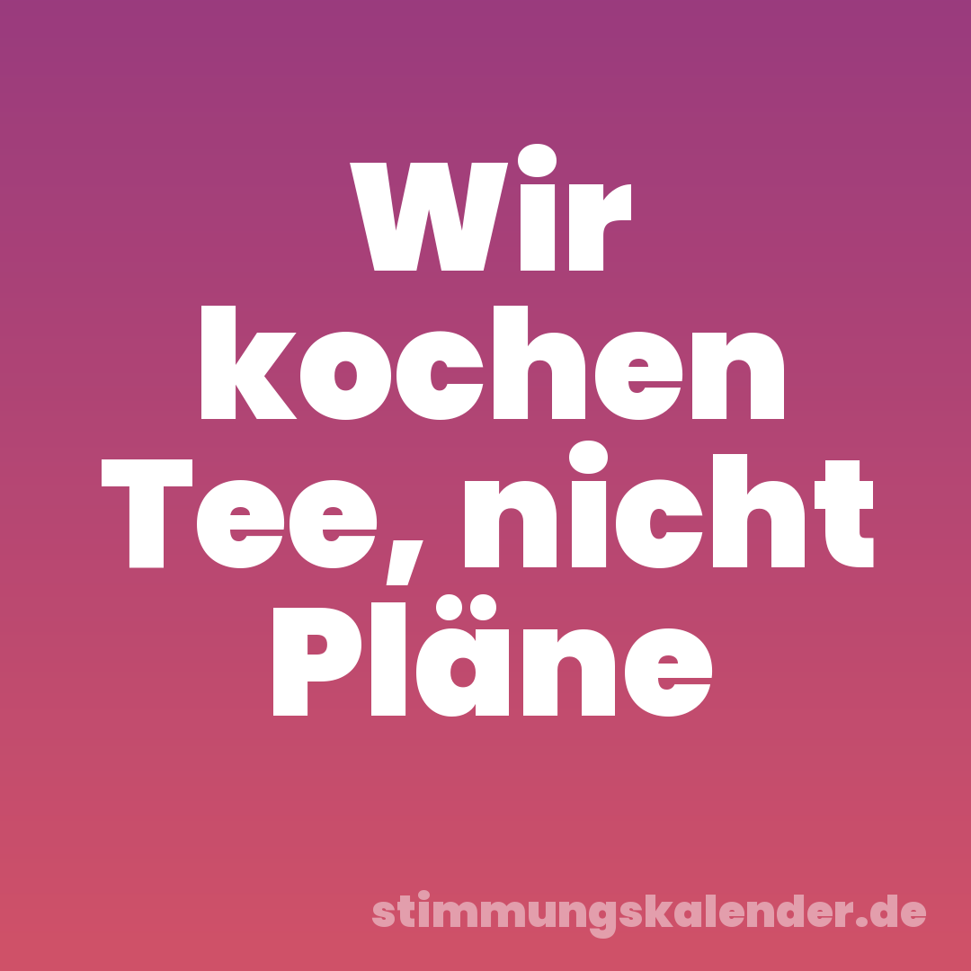 Wir kochen Tee, nicht Pläne