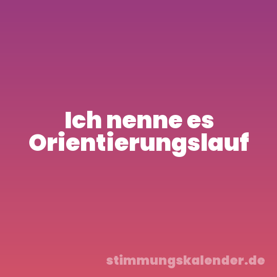 Ich nenne es Orientierungslauf