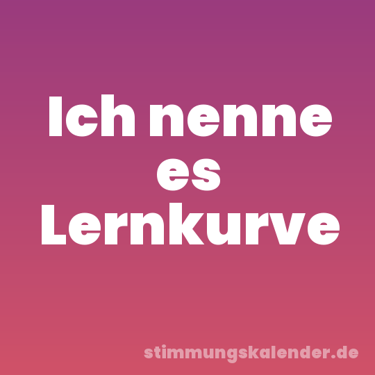 Ich nenne es Lernkurve