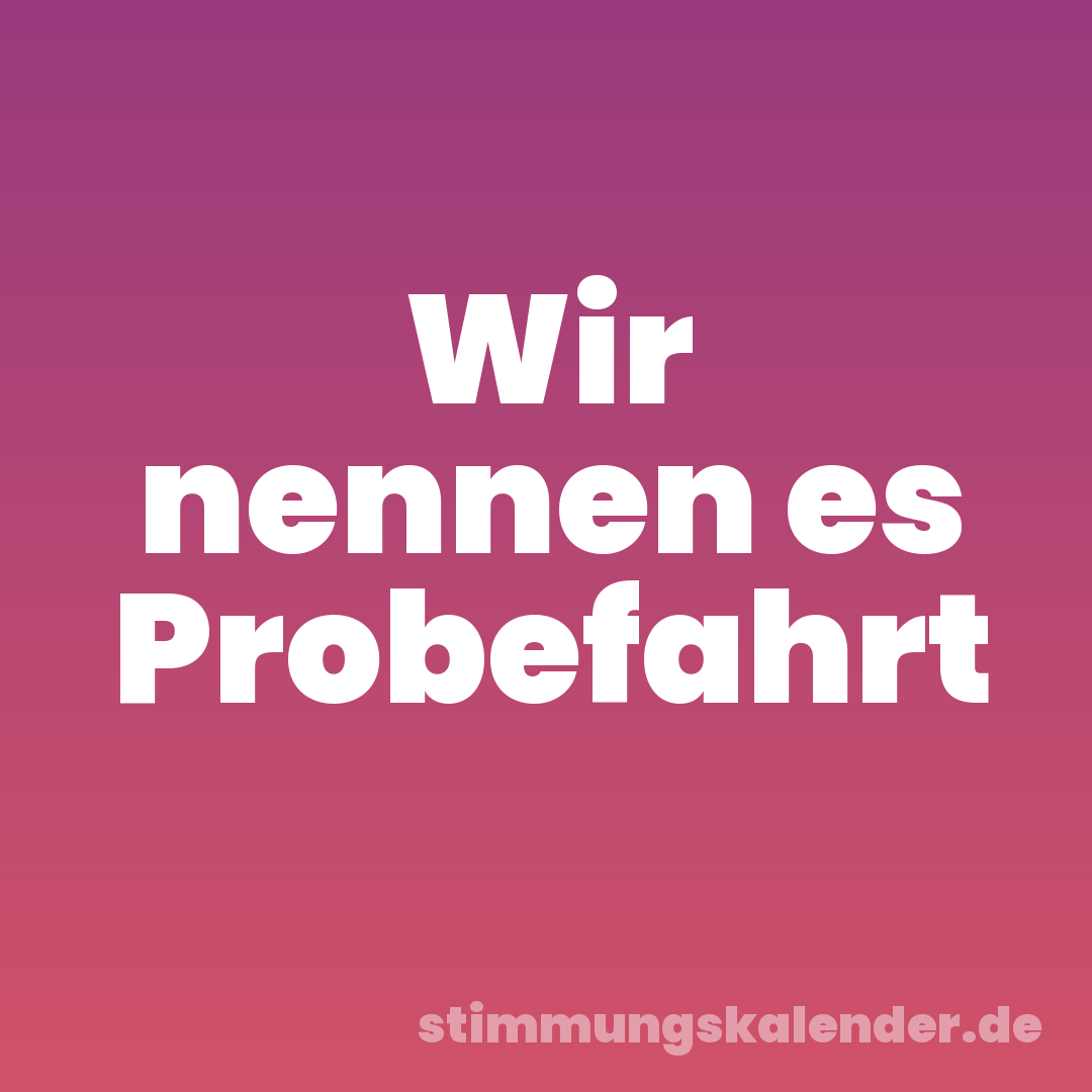 Wir nennen es Probefahrt