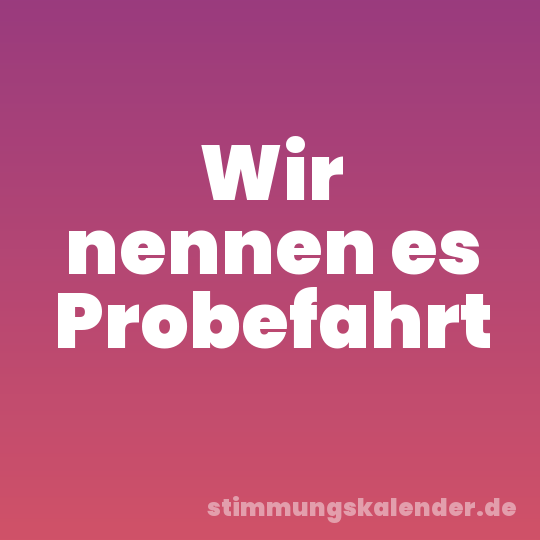 Wir nennen es Probefahrt