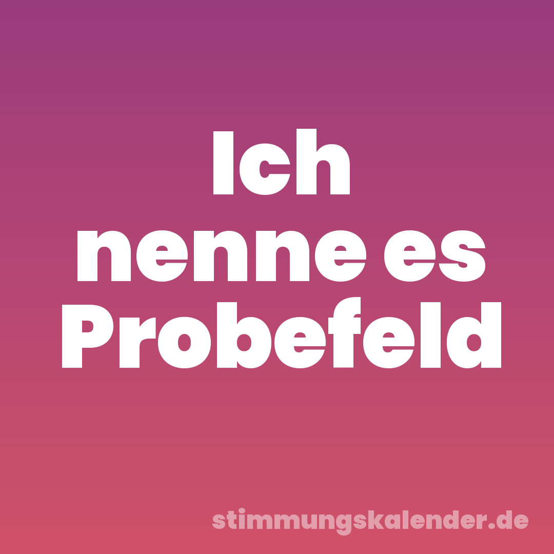 Ich nenne es Probefeld