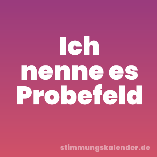 Ich nenne es Probefeld