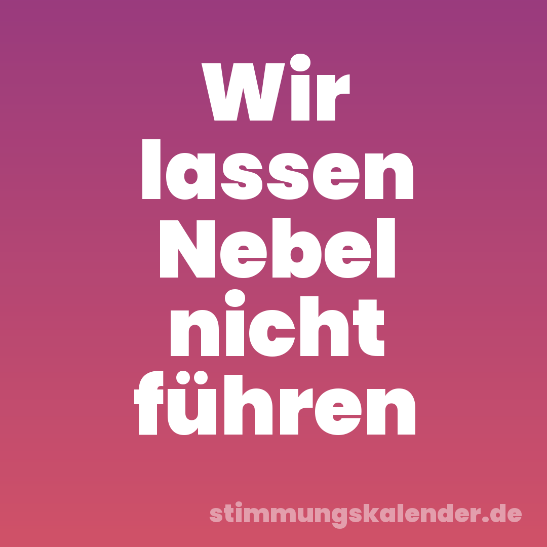 Wir lassen Nebel nicht führen