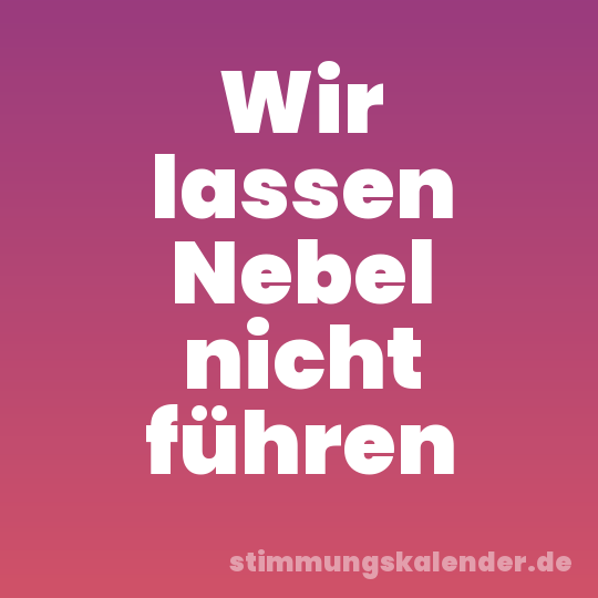 Wir lassen Nebel nicht führen