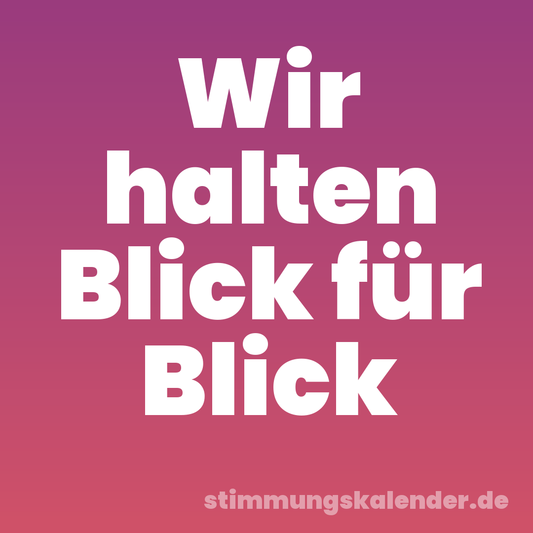 Wir halten Blick für Blick