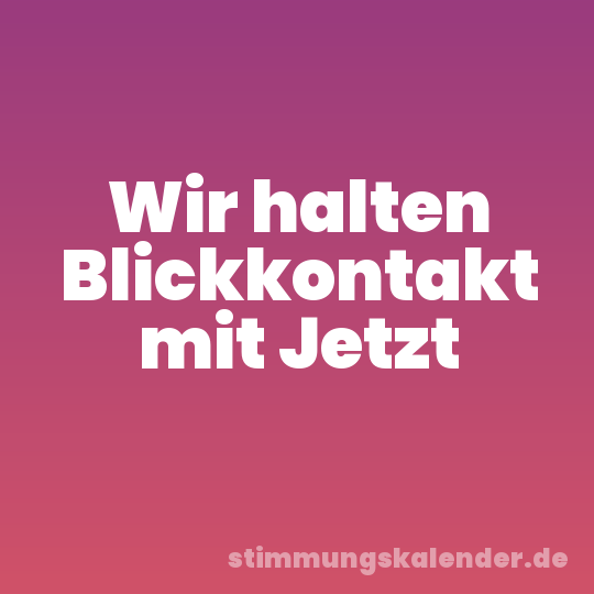 Wir halten Blickkontakt mit Jetzt