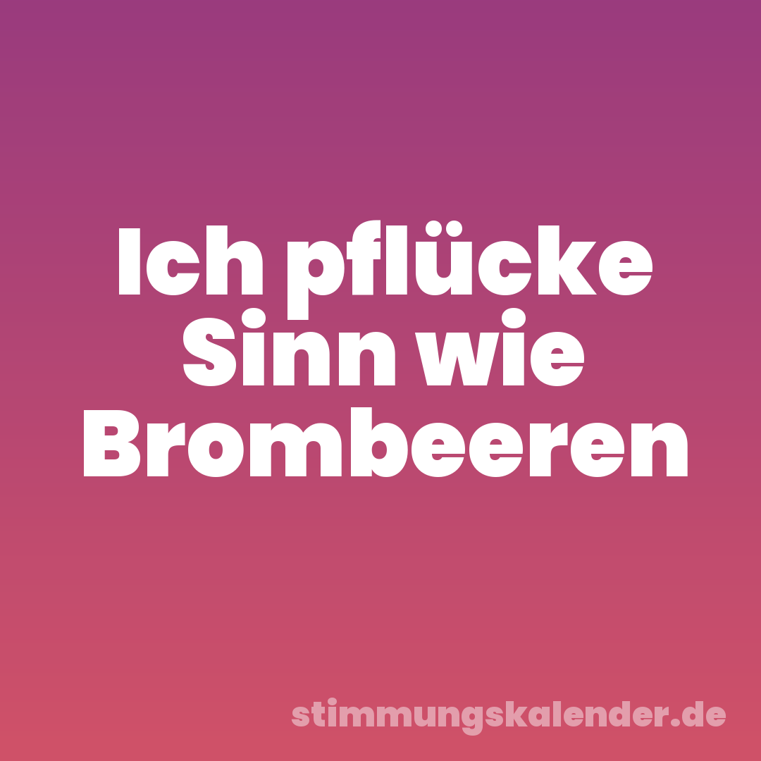 Ich pflücke Sinn wie Brombeeren