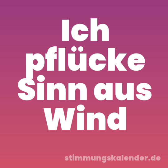 Ich pflücke Sinn aus Wind
