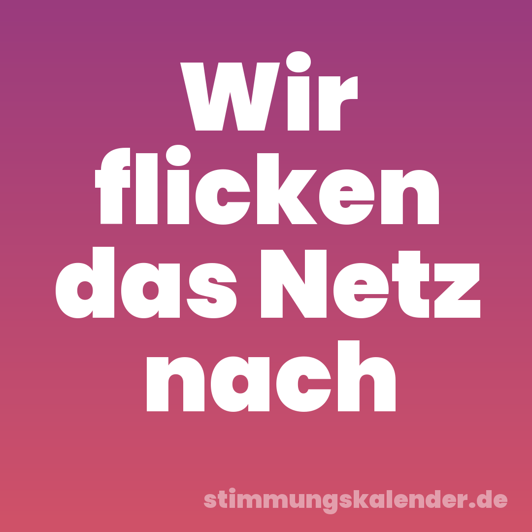 Wir flicken das Netz nach