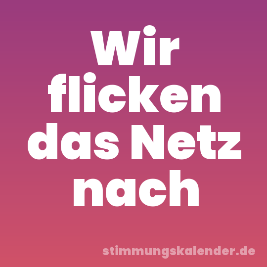 Wir flicken das Netz nach