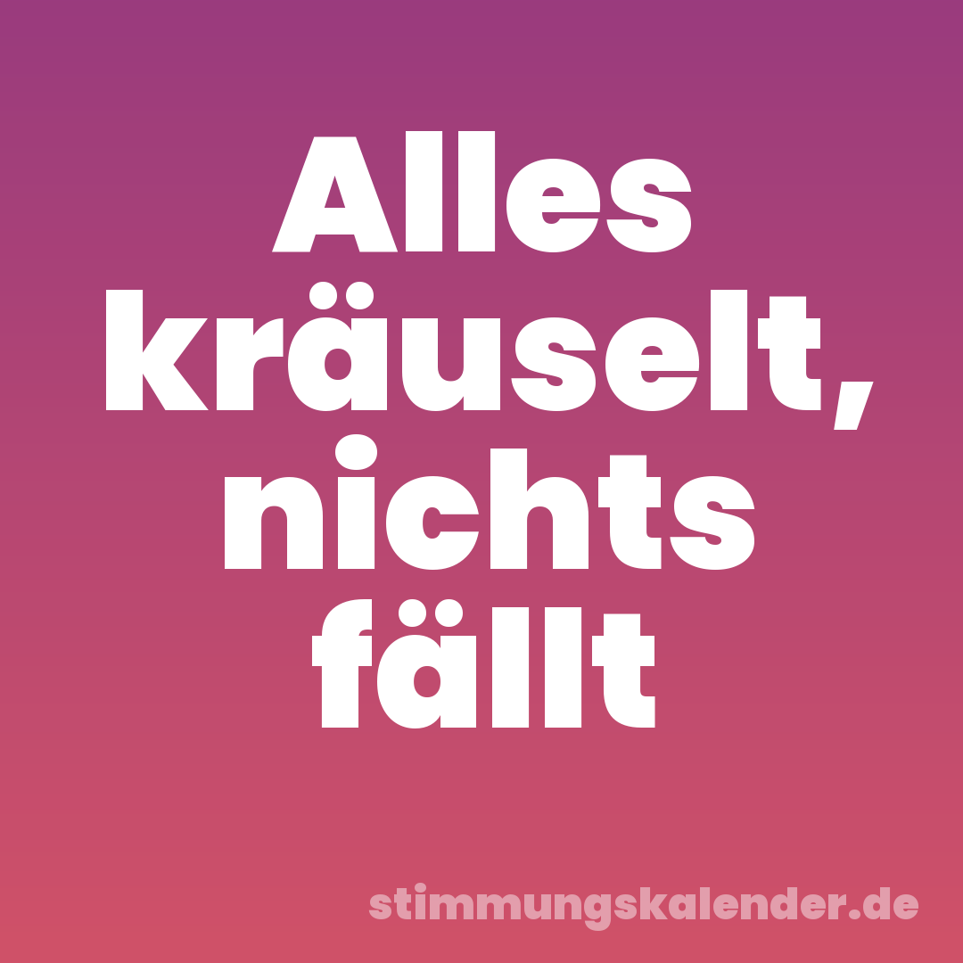 Alles kräuselt, nichts fällt