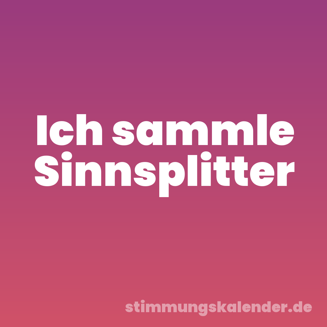 Ich sammle Sinnsplitter