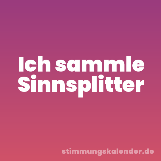Ich sammle Sinnsplitter