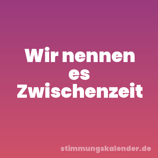 Wir nennen es Zwischenzeit