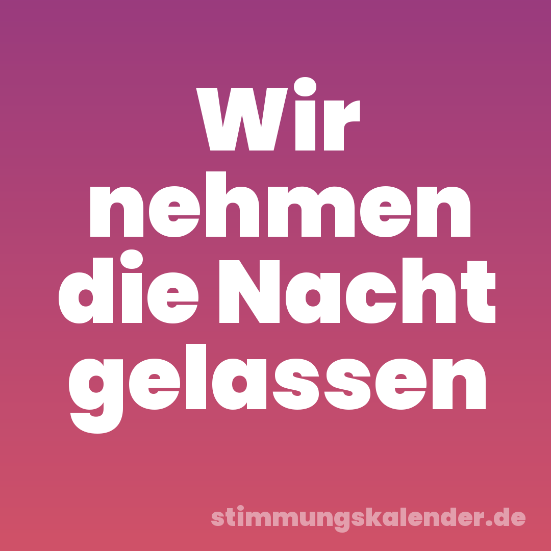 Wir nehmen die Nacht gelassen