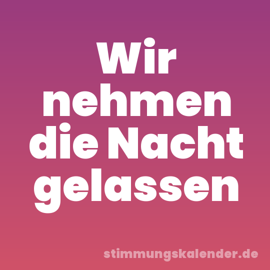 Wir nehmen die Nacht gelassen