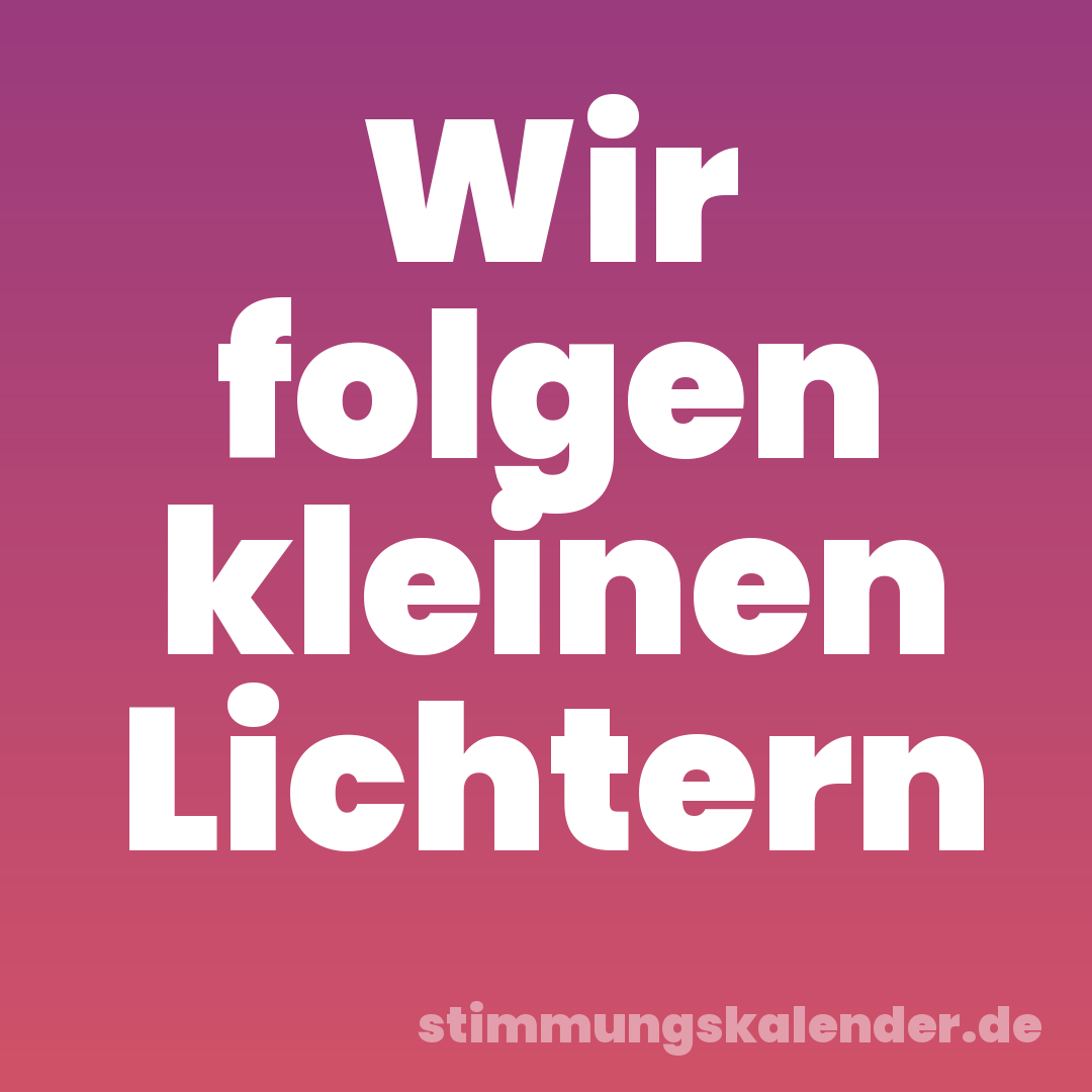 Wir folgen kleinen Lichtern