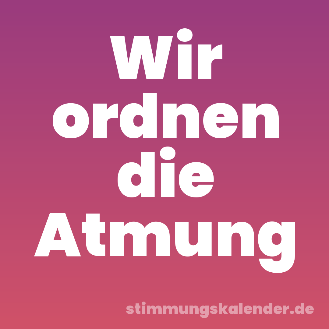 Wir ordnen die Atmung