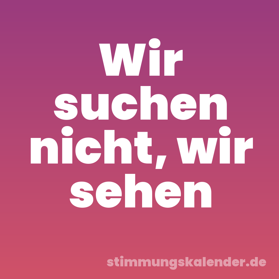 Wir suchen nicht, wir sehen