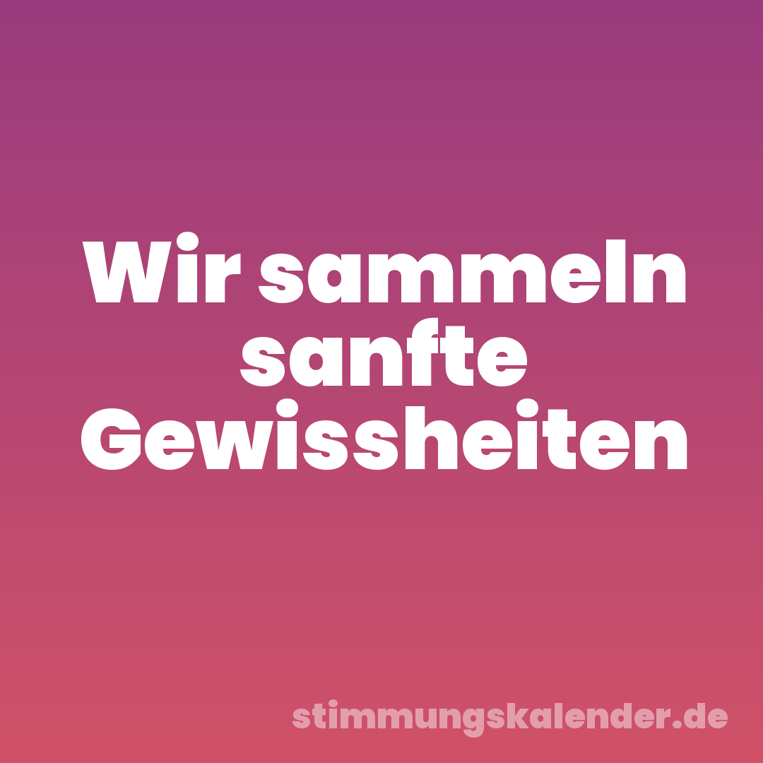 Wir sammeln sanfte Gewissheiten