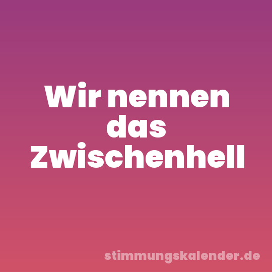Wir nennen das Zwischenhell
