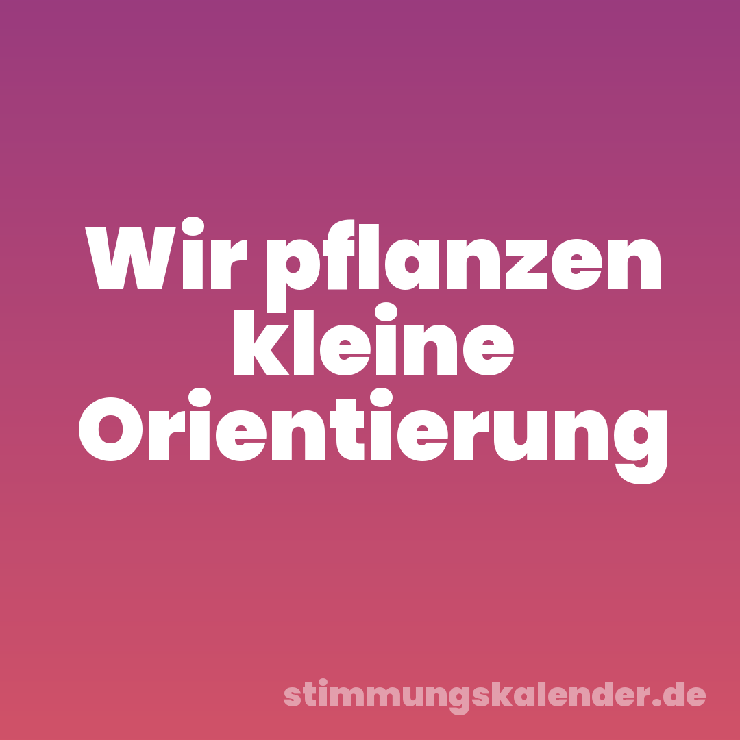 Wir pflanzen kleine Orientierung