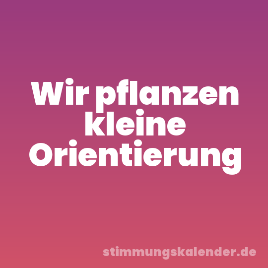 Wir pflanzen kleine Orientierung