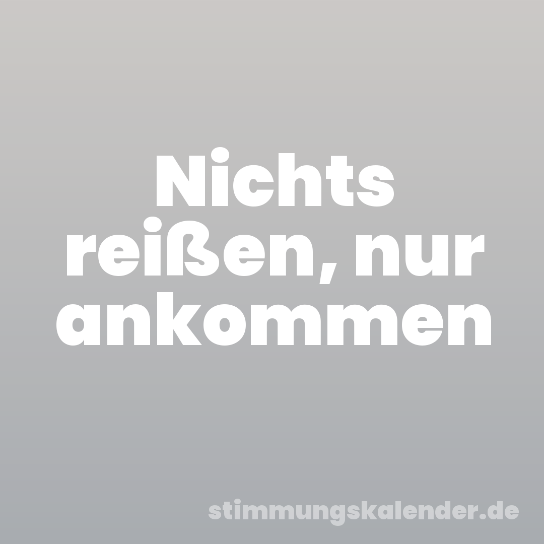 Nichts reißen, nur ankommen