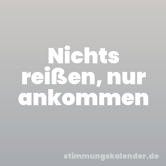 Nichts reißen, nur ankommen