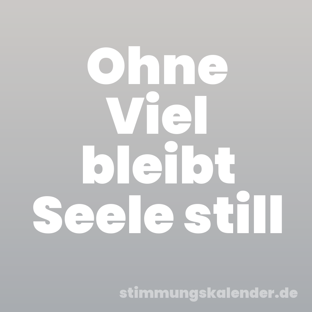 Ohne Viel bleibt Seele still