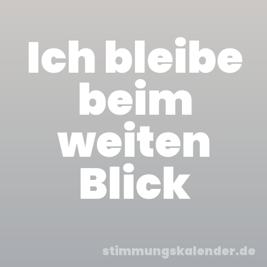 Ich bleibe beim weiten Blick