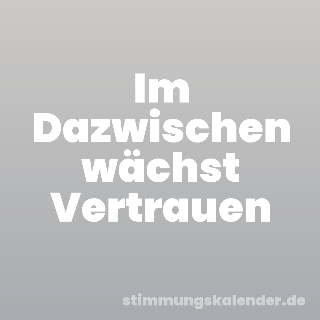 Im Dazwischen wächst Vertrauen