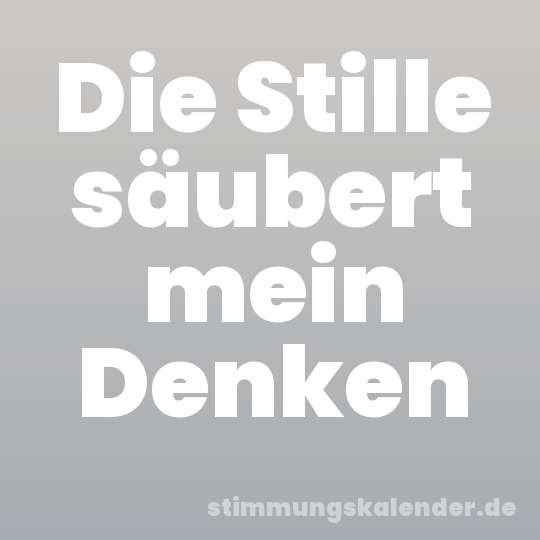Die Stille säubert mein Denken