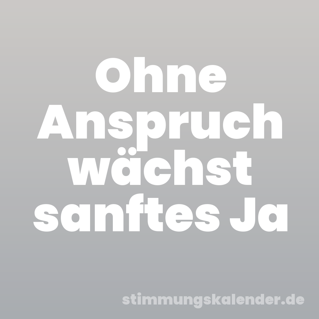 Ohne Anspruch wächst sanftes Ja